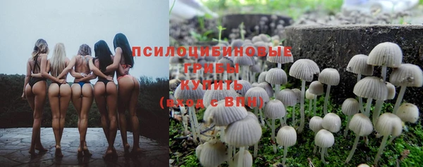 спайс Алексеевка