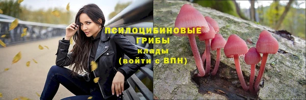 винт Алексин