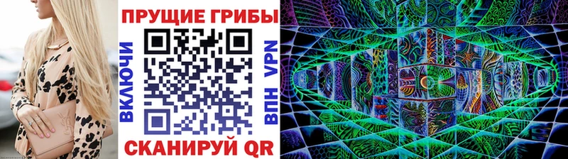 Псилоцибиновые грибы Psilocybine cubensis Десногорск