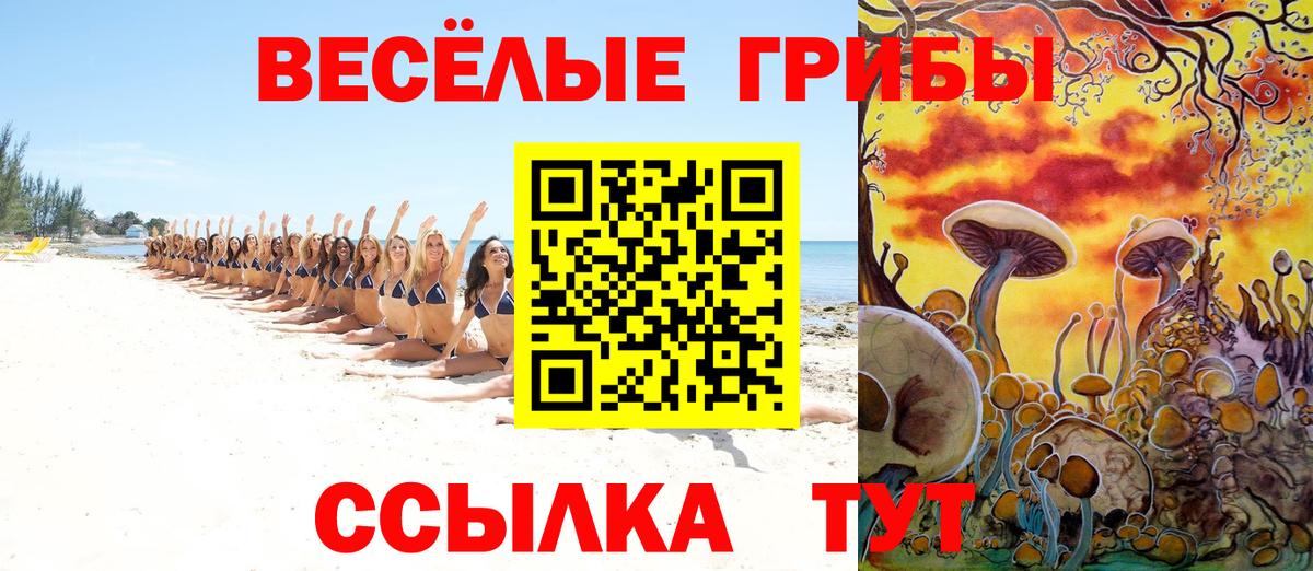 Псилоцибиновые грибы ЛСД Десногорск