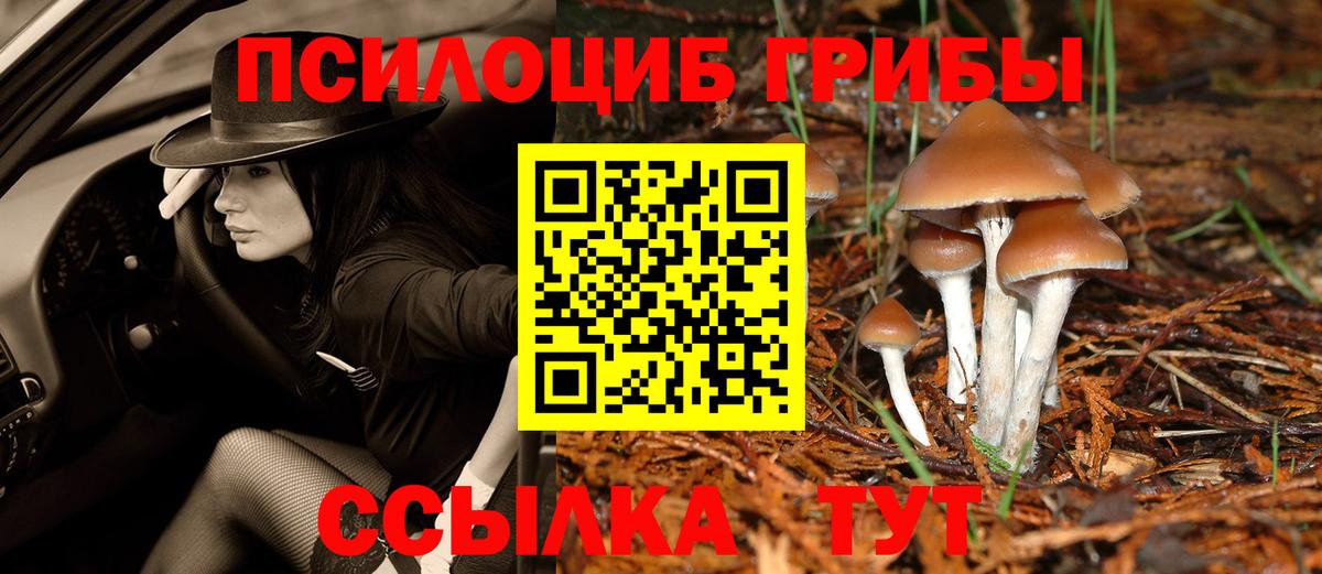 Псилоцибиновые грибы прущие грибы  Вход с VPN  Десногорск 